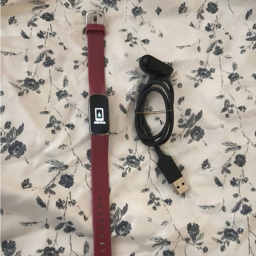 FITBIT LUXE SILVER (preloved)